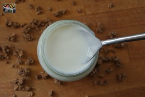 Naturjoghurt selber machen