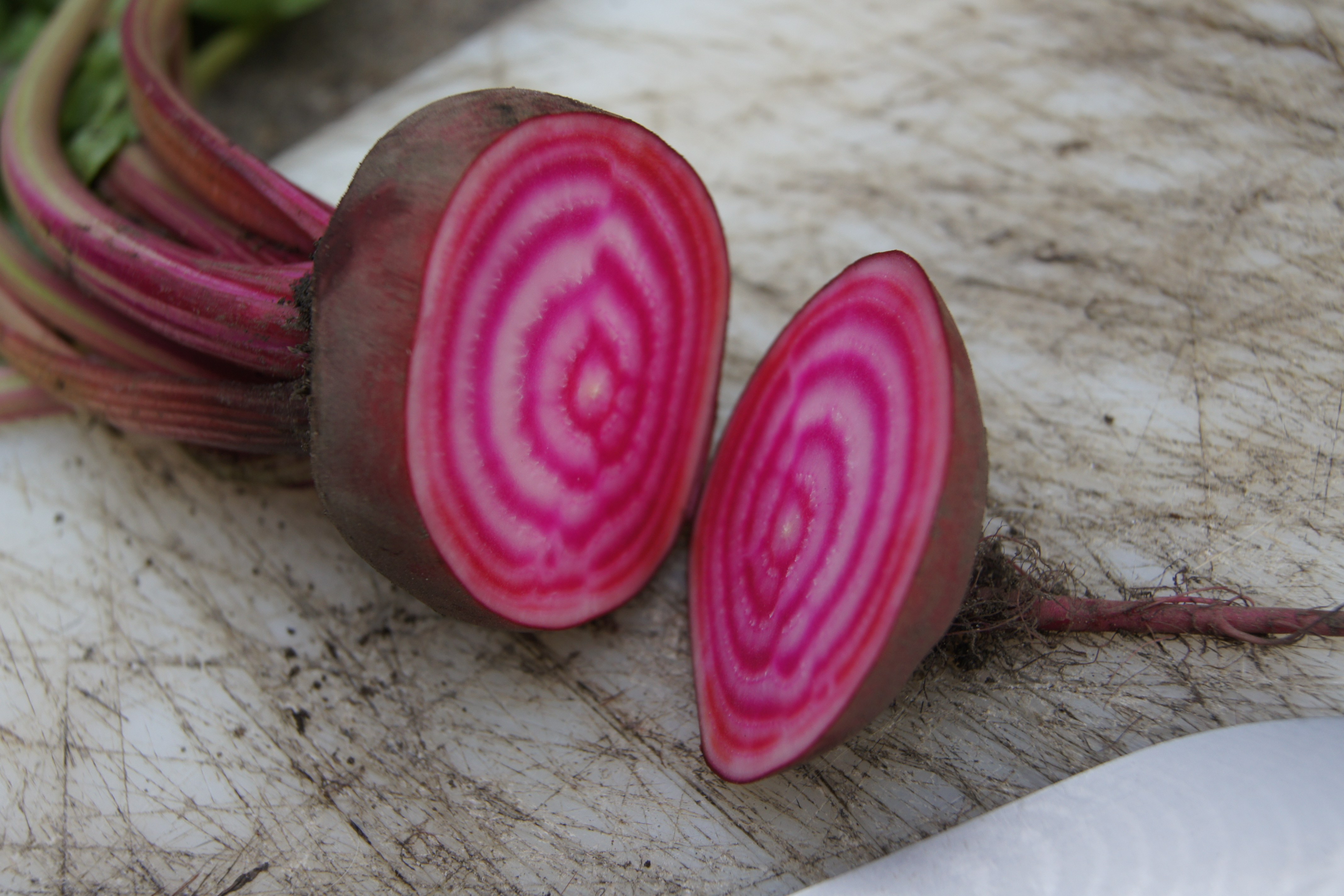 Eingelegte Rote Beete mit Zwiebeln und Nelken - Natürlich Lecker