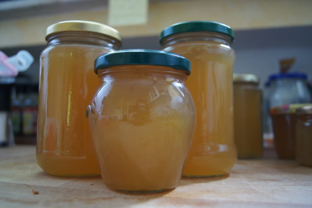 Apfel-Holunderblüten Gelee - Natürlich Lecker