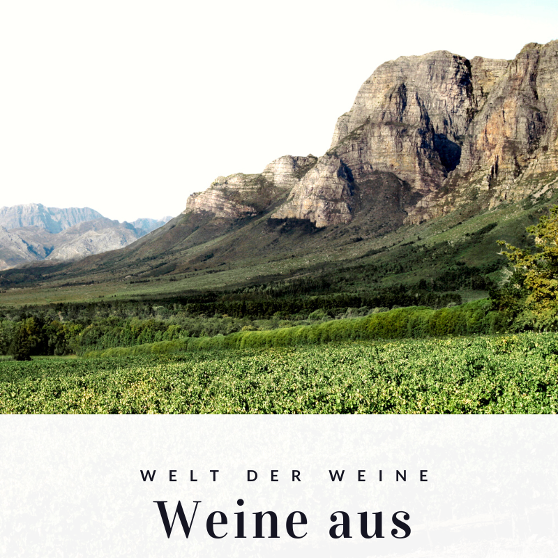 Weine aus Südafrika